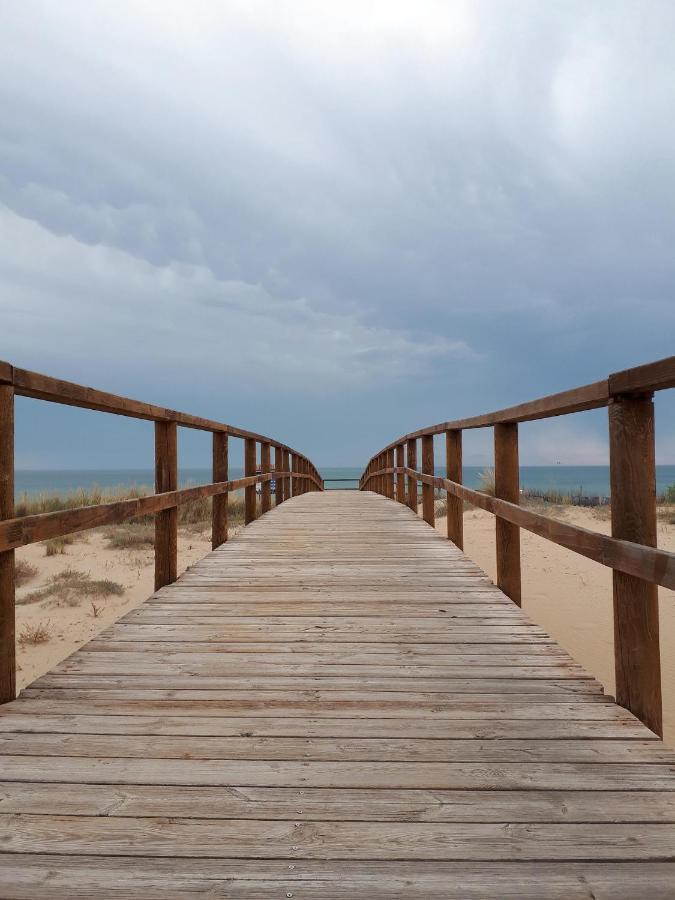 Elche Holidays Εξωτερικό φωτογραφία